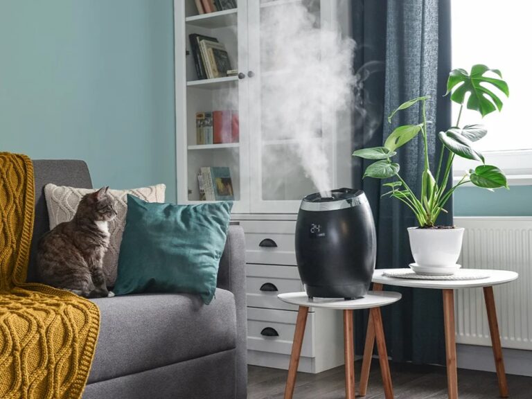 living room air humidification