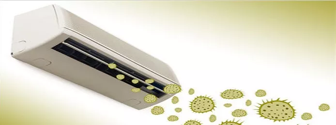 Bacteria and Dirt in the Heat Exchanger
